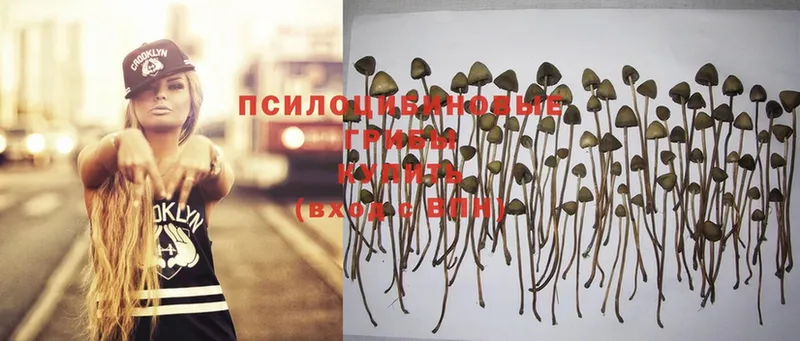 Галлюциногенные грибы MAGIC MUSHROOMS  Лесосибирск 